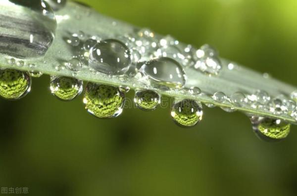 養朵花種棵草不需要多名貴自己喜歡就好 養朵花種棵草不需要多名貴自己喜歡就好
