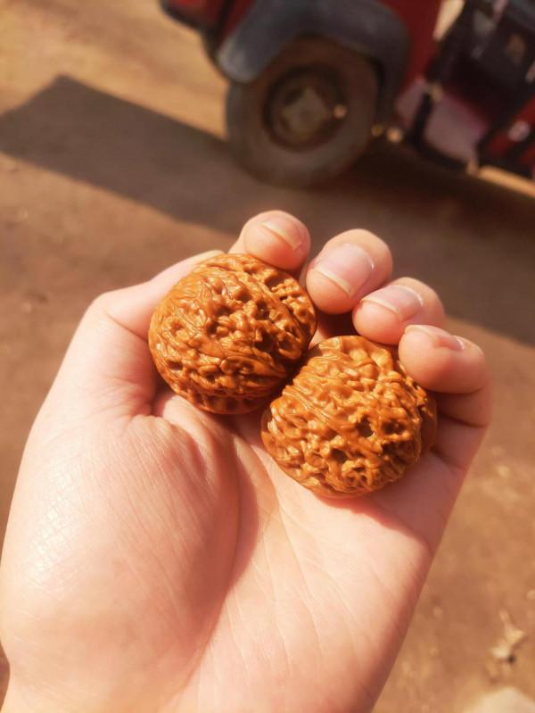 週末跟媳婦兒出來一塊瞅個書桌,學習、刷核桃用 週末跟媳婦兒出來一塊瞅個書桌,學習、刷核桃用