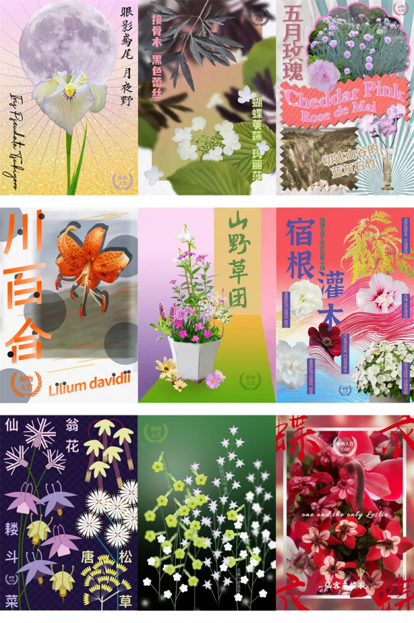 看年輕人如何玩轉小眾植物