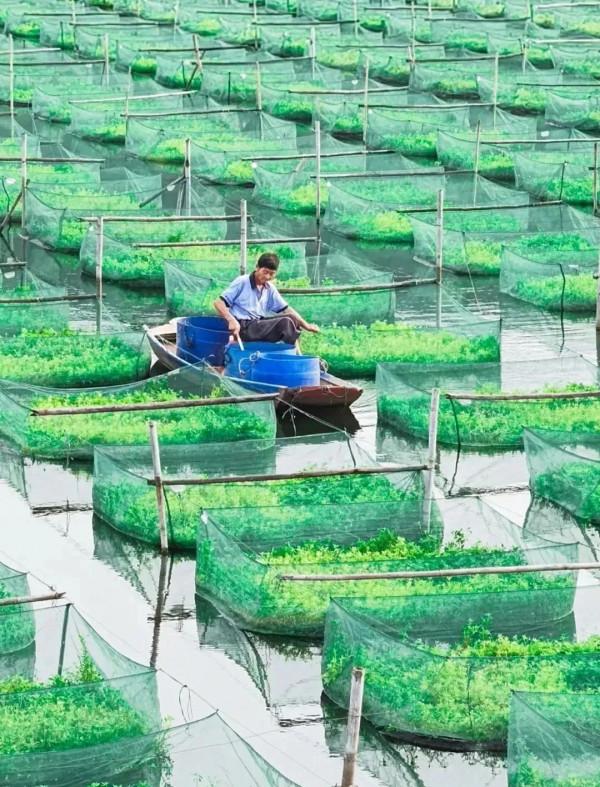 成年人玩得這麼野，小心把命都玩丟了