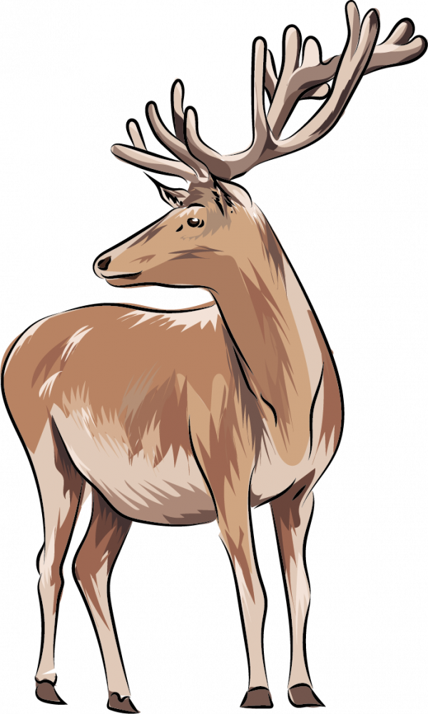 這一次,為什麼是承德? 這一次,為什麼是承德?