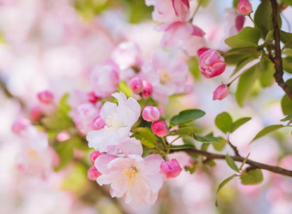 明天起,4個星座大度寬容,不斤斤計較,生活好轉,幸福指數上升 明天起,4個星座大度寬容,不斤斤計較,生活好轉,幸福指數上升