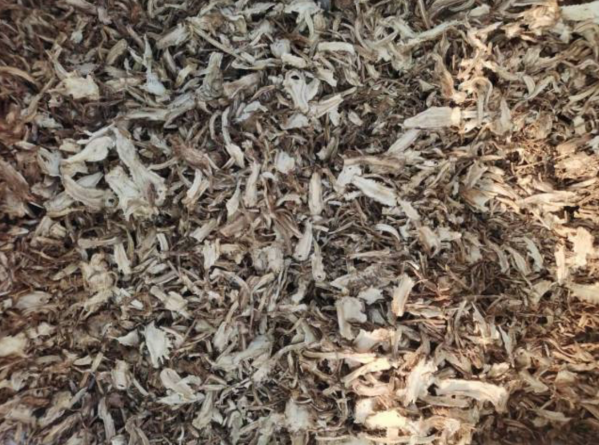 甘肅-會川中藥材市場2月22日快訊