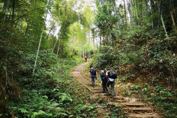 別總去西遞宏村,安徽黃山下藏2個好地方,冷門有特色還沒門票 別總去西遞宏村,安徽黃山下藏2個好地方,冷門有特色還沒門票