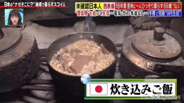 這個日本老大爺好流弊~~不花一分錢，荒島獨居爽玩了18年