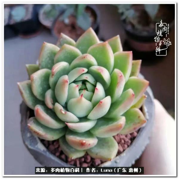 學會和解:與自己、與他人、與世界 學會和解:與自己、與他人、與世界