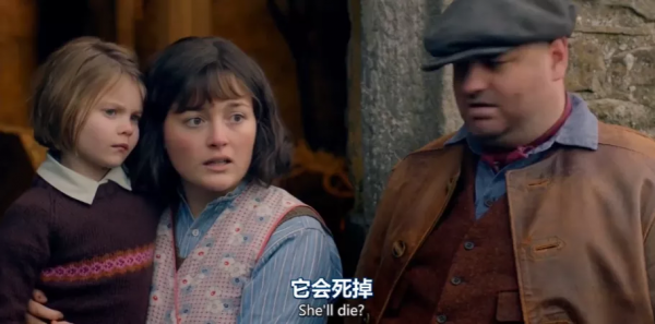 又髒又野,但真招人喜歡 又髒又野,但真招人喜歡