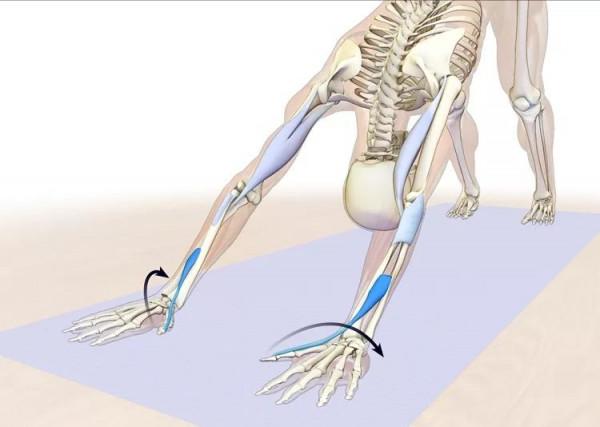 練瑜伽，千萬不要忽視腕部安全