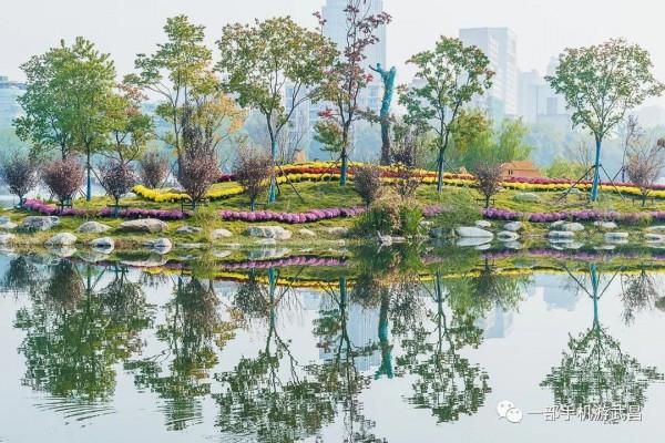 秋遊賞菊,品茗看展,好天氣就出門這樣玩 秋遊賞菊,品茗看展,好天氣就出門這樣玩