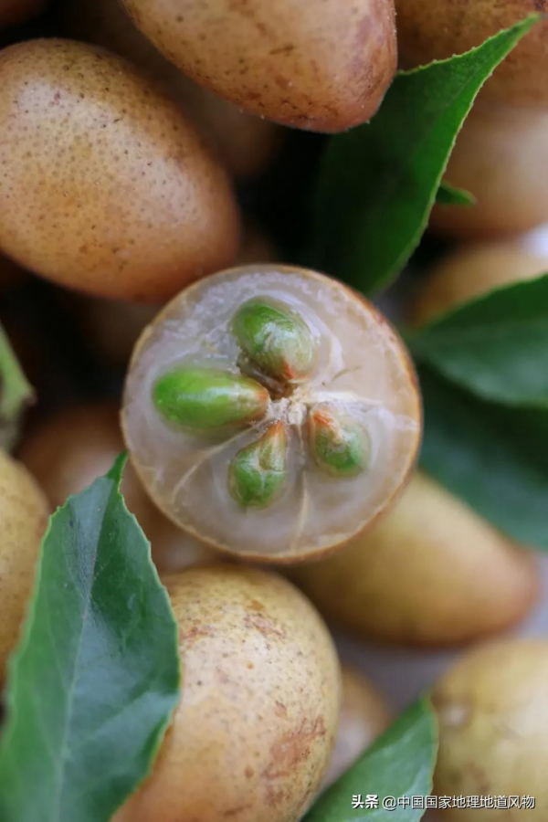 557億斤！5個第一！3個第二！水果大省廣西，到底有多“豪”？