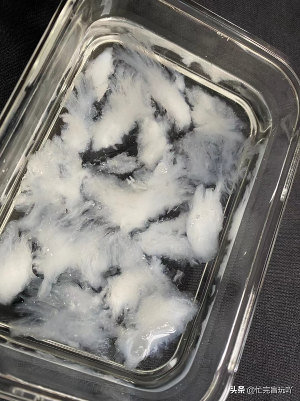 燕窩怎麼吃，才能營養最大化呢？