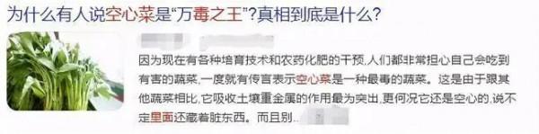 空心菜被稱為“毒王”？別被謠言欺騙了