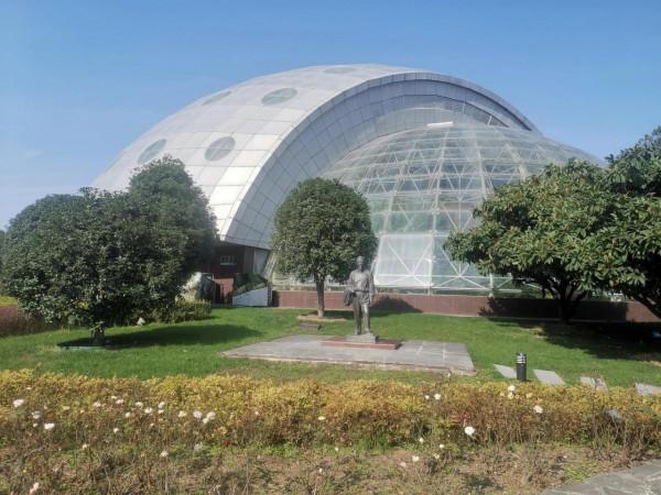 深秋的蝴蝶 深秋的蝴蝶