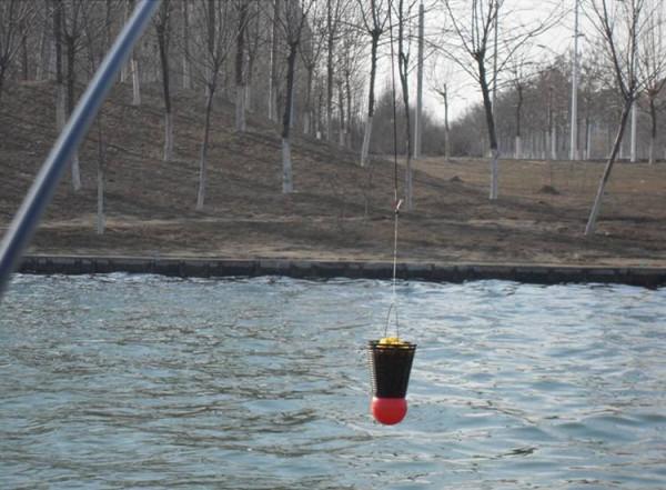 什麼時候吃透了釣魚的這幾個經驗體會，新手就能升級成老鳥了