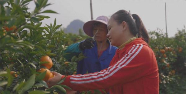 40歲廣西女人，從月薪3000到年入千萬，開公司，還上央視，憑啥？