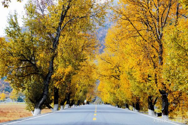 別人的生活:退休了 開始自駕遊 別人的生活:退休了 開始自駕遊