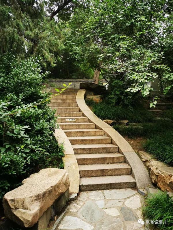 動物園裡的歷史遺存——“彭、楊、黃、張四烈士墓” 動物園裡的歷史遺存——“彭、楊、黃、張四烈士墓”