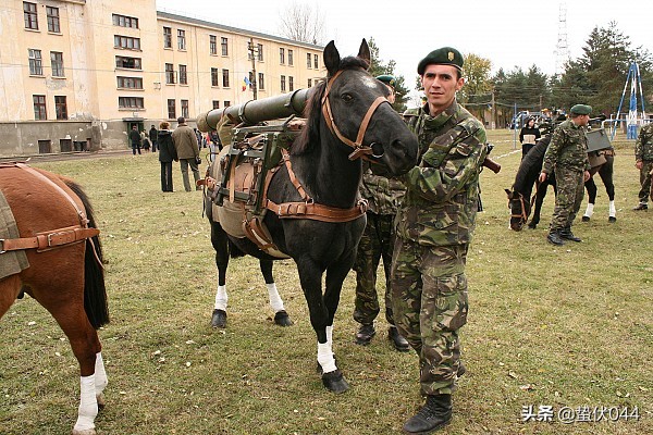 羅馬尼亞M1982 大口徑迫擊炮 羅馬尼亞M1982 大口徑迫擊炮