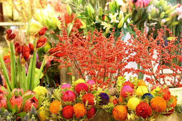 亂花漸欲迷人眼,不忘初心方始終 亂花漸欲迷人眼,不忘初心方始終