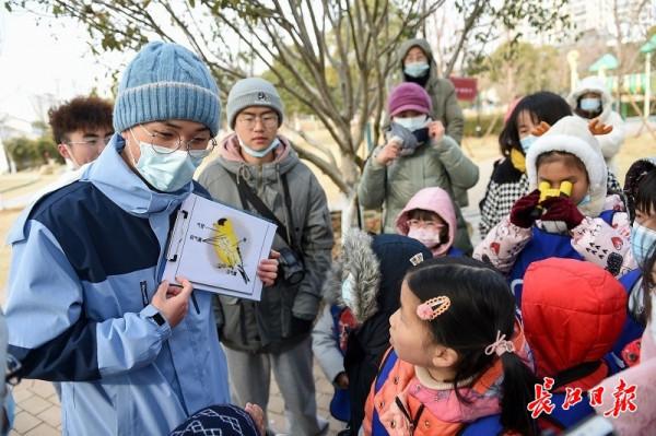 探尋鳥兒飛行的奧秘