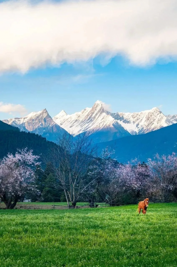 2022我要一個人去旅行