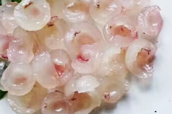 把早餐做成一幅畫：好吃到爆的黃金蝦仁炒飯