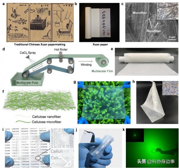 今日科技話題：新型柔性顯示膜材料、中國家馬、巨型鋰礦帶、自適應電晶體、小型條紋章魚模式動物、裸鼴鼠