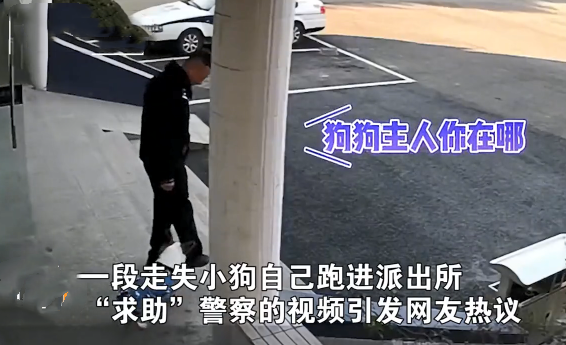 派出所裡來了1只狗狗,圍著警察們到處轉:哪裡來的小可愛呀? 派出所裡來了1只狗狗,圍著警察們到處轉:哪裡來的小可愛呀?