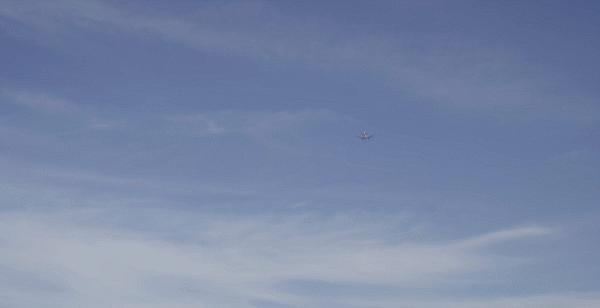 35㎡老破小爆改神作！裝下兩個書房、植物園、三分離衛生間