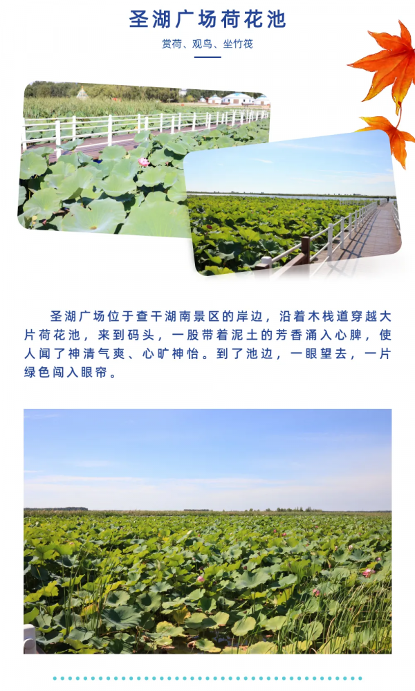 金秋九月,走近查干湖!看最美的湖,吃最香的魚 金秋九月,走近查干湖!看最美的湖,吃最香的魚