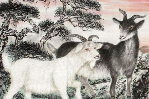 屬羊的人（1979）性格很特別，有嗎？我沒覺得呀？