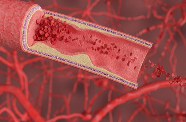 多走路有助於長壽?其實,人過了50歲,做好4件事,或比走路有效 多走路有助於長壽?其實,人過了50歲,做好4件事,或比走路有效