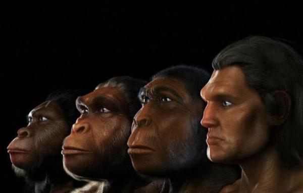 進化論的終極BUG:烏龜為何會成為科學家們的噩夢? 進化論的終極BUG:烏龜為何會成為科學家們的噩夢?