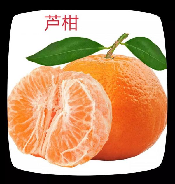 橘子，橙子、蘆柑的區別和作用