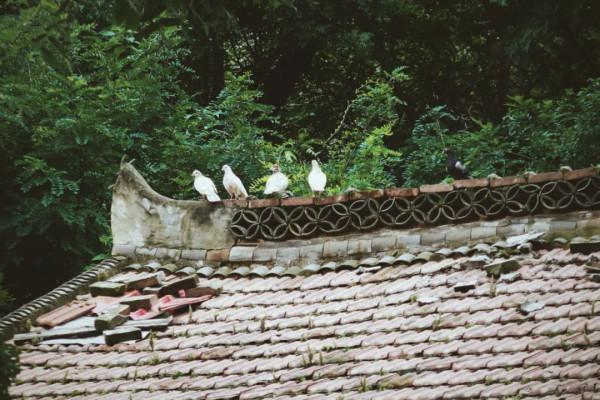 在西安偏僻小縣城的農家樂,我見識到了真正的碳水炸彈 在西安偏僻小縣城的農家樂,我見識到了真正的碳水炸彈