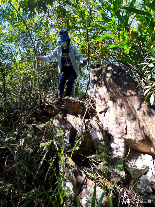 為什麼美景都藏在人跡罕至的地方，經常去玩的欖坑，竟然別有洞天