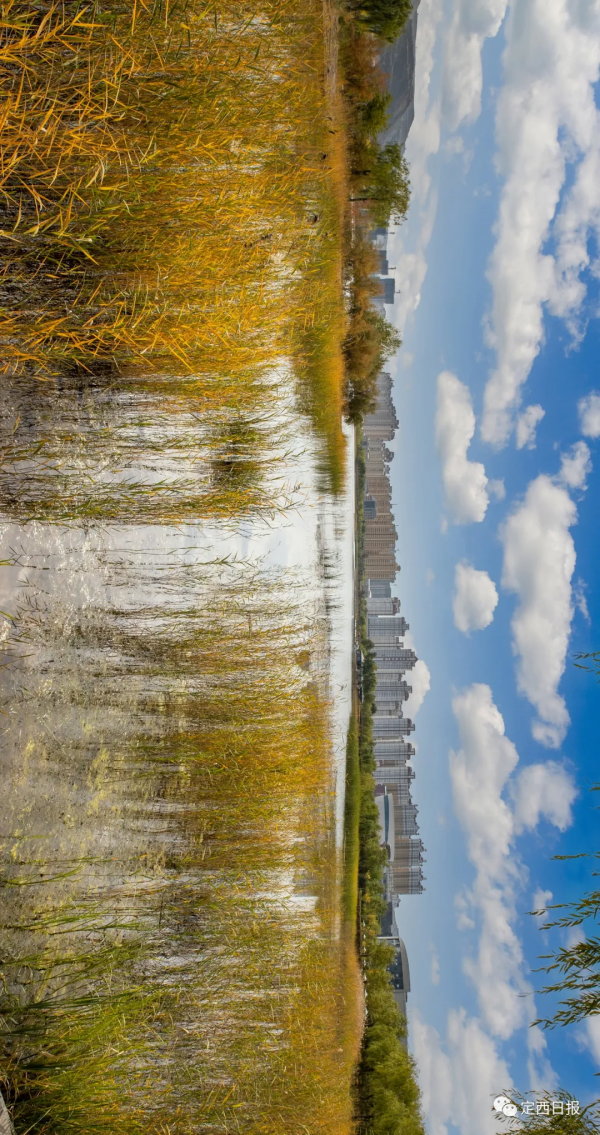 無須遠行！定西湖，人間秋色