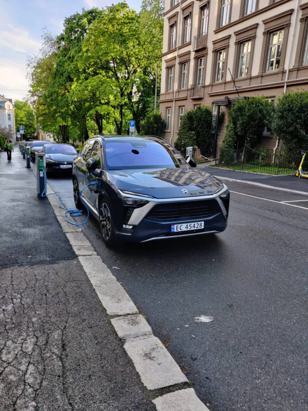 1月挪威成績單：比亞迪113輛、蔚來55輛、特斯拉47輛