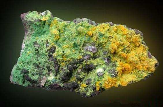 中國股市：比肩黃金稀土的企業，非這四家優秀企業莫屬