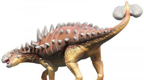 恐龍科普——甲龍