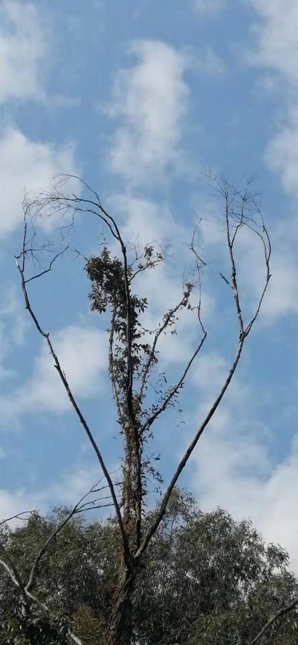 雲彩下的山城系列（九）