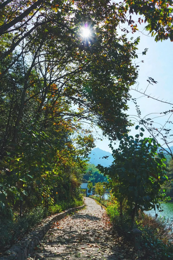 浙江青田的中國韻味