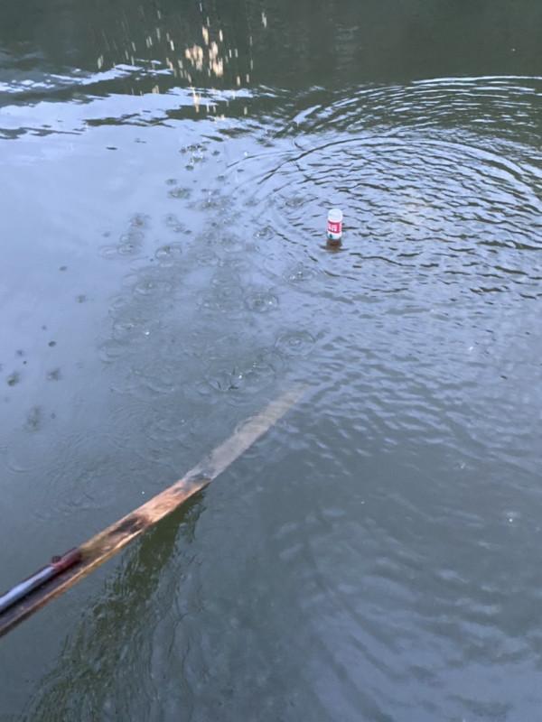 「秋釣」升鍾湖垂釣，改變線組，漁獲滿倉