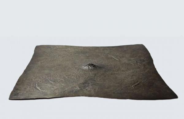 他們的家坐擁10000棵松樹，全北京絕無僅有