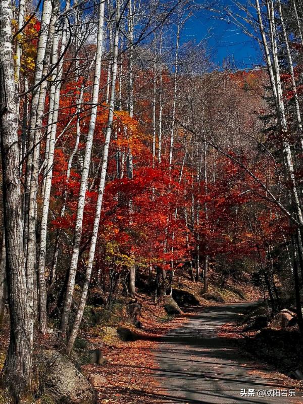 山西,為什麼如此重要? 山西,為什麼如此重要?