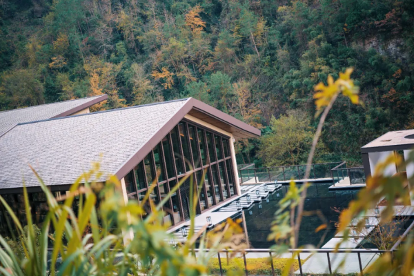 這家酒店的紅葉季，讓我想起了虹夕諾雅京都