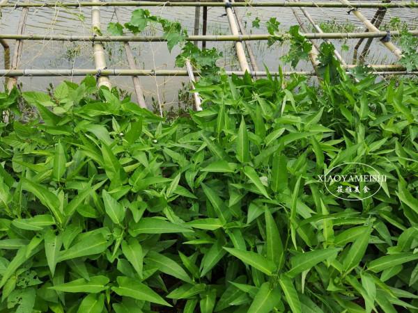 明日立冬，記得“吃3樣忌3樣”，老傳統別忘了，應季而食安穩入冬