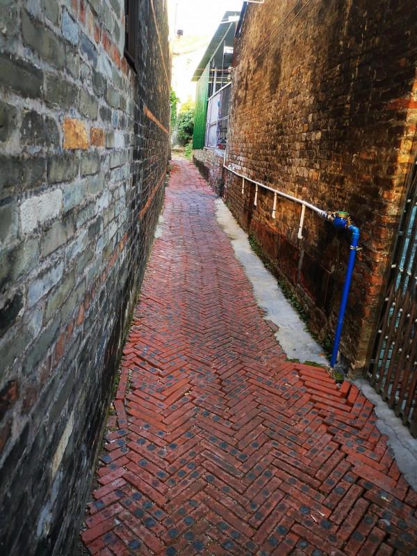 打卡美麗鄉村678