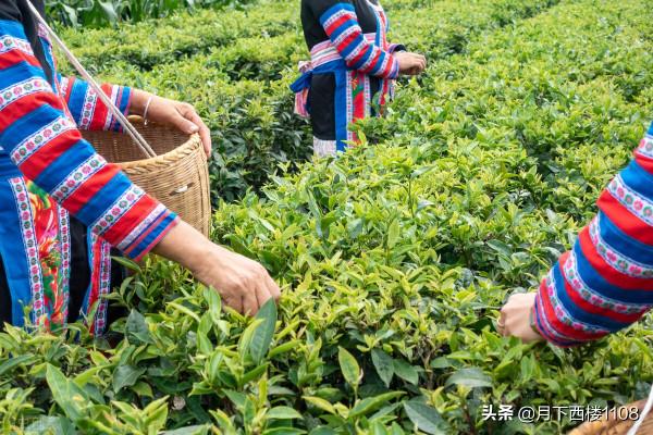 朱元璋“血洗湖南”原因成謎,為何官方文獻僅常寧縣誌有明確記載 朱元璋“血洗湖南”原因成謎,為何官方文獻僅常寧縣誌有明確記載