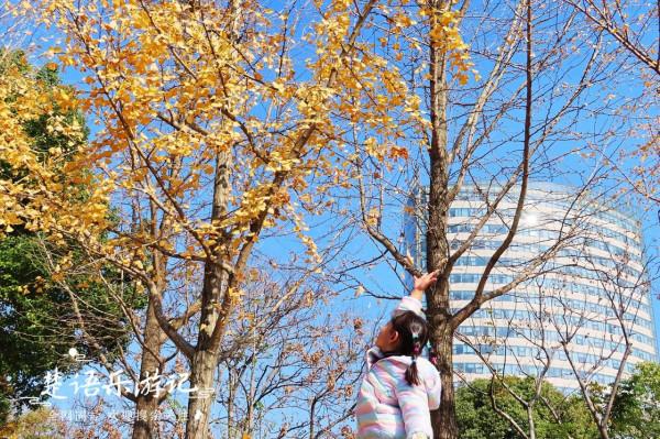 身為5A景區卻堅持免費,秋色斑斕到處如畫,寧波這個景點讓人驚豔 身為5A景區卻堅持免費,秋色斑斕到處如畫,寧波這個景點讓人驚豔